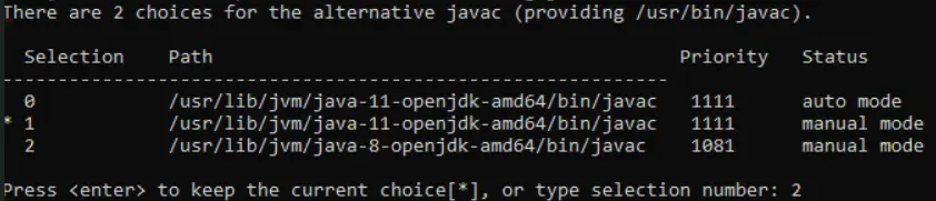 sudo update-alternatives &ndash;config javac