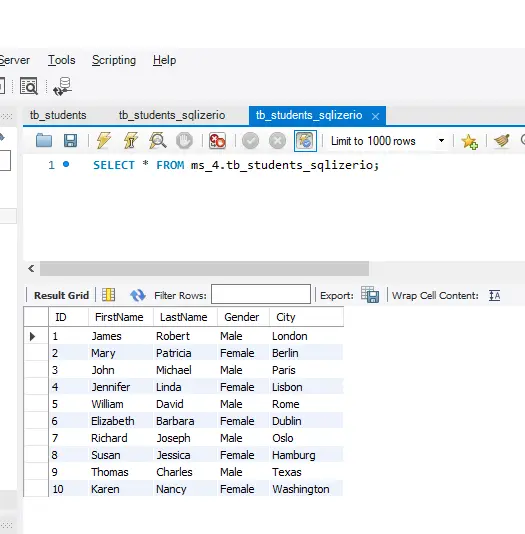 將 excel 檔案匯入 mysql 資料庫的 3 種最簡單的方法 - sqlizerio 查詢資料