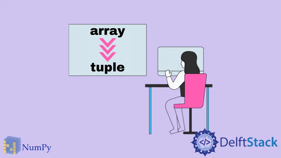 将 NumPy 数组转换为元组