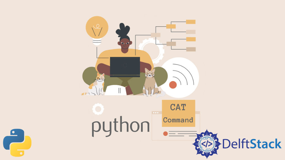 在 Python 中使用 cat 命令