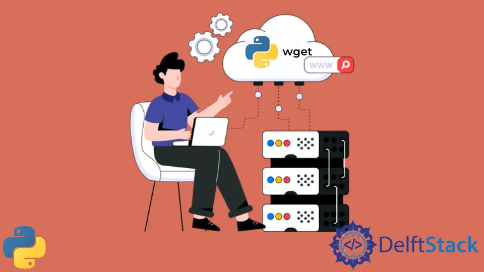 在 Python 中使用 wget 命令