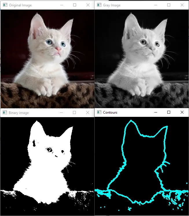 使用 opencv 查找轮廓